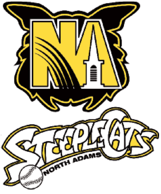 North Adams SteepleCats 2002-Pres Primary Logo iron on heat transfer